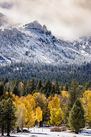 Final color before winter, Hope Valley, CA