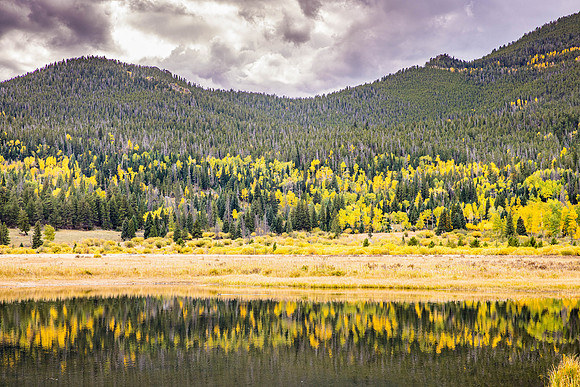 Aspens and Reflections, East Alluvial Fan (Sheep Lake), RMNP, CO