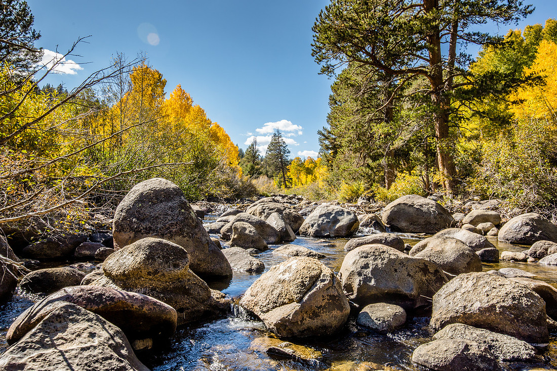 West Carson River, Hope Valley, CA
