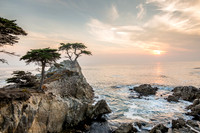 Lone Cypress at Sunset, 17 Mile Drive, Pebble Beach, CA