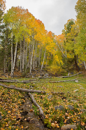 Aspens of Hope Valley, CA
