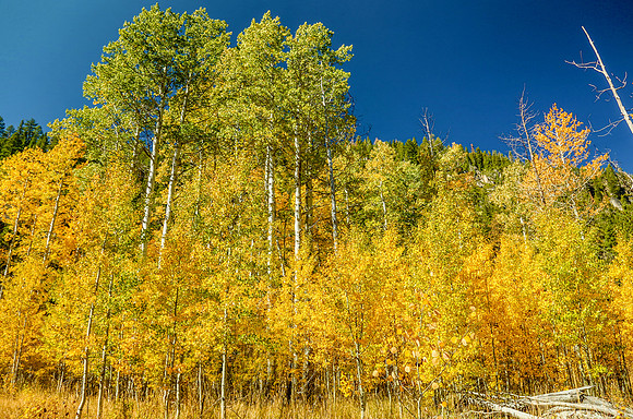 Aspens of Lake Tahoe, CA