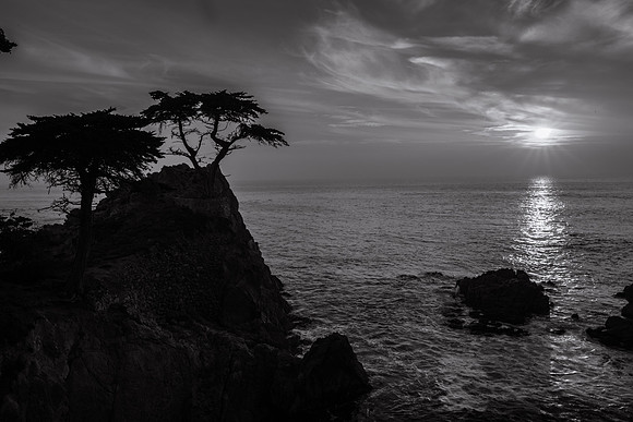 Lone Cypress at Sunset, 17 Mile Drive, Pebble Beach, CA