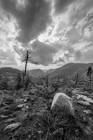 Clearing Storm west of Hetch Hetchy, Yosemite National Park, CA