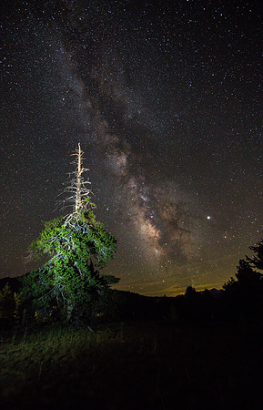 Radiance and beauty - Hope Valley, CA