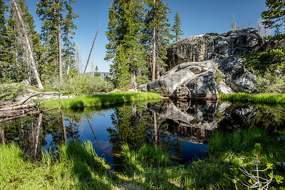 Pond in the El Dorado National Forest