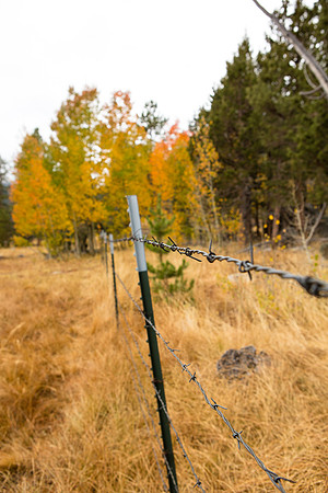 Paddock in Hope Valley, CA