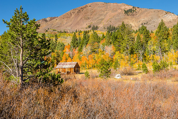 Rancher's cabin in Hope Valley, CA