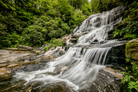 Beauty in Pisgah