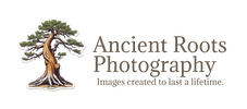 Ancient Roots Photography